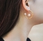 l'or 18K a plaqué des boucles d'oreille les bijoux C d'acier inoxydable que forment la perle à chaînes pour la partie